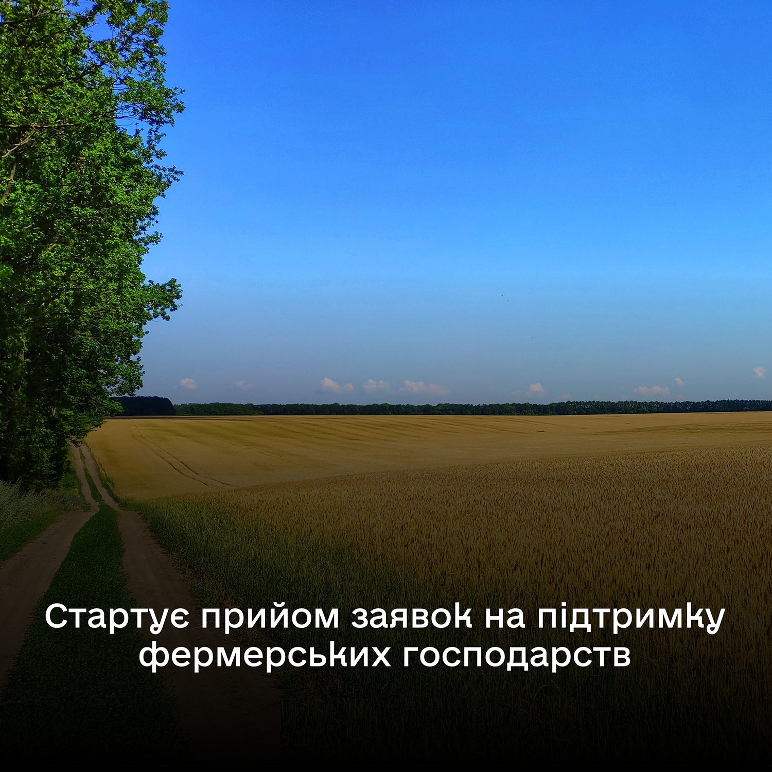 До уваги аграріїв: розпочинається прийом заявок на отримання фінансової допомоги фермерськими господарствами