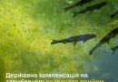  Державна компенсація на зариблення: розпочато прийом заявок